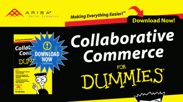 Ariba For Dummies