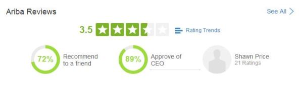 Ariba Review Summary