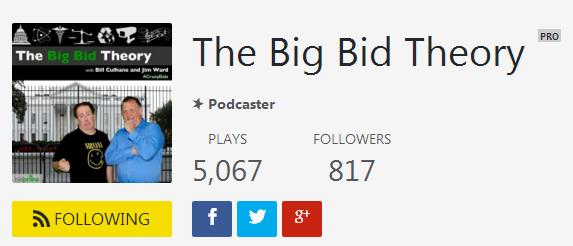 Big Bid Theory Banner